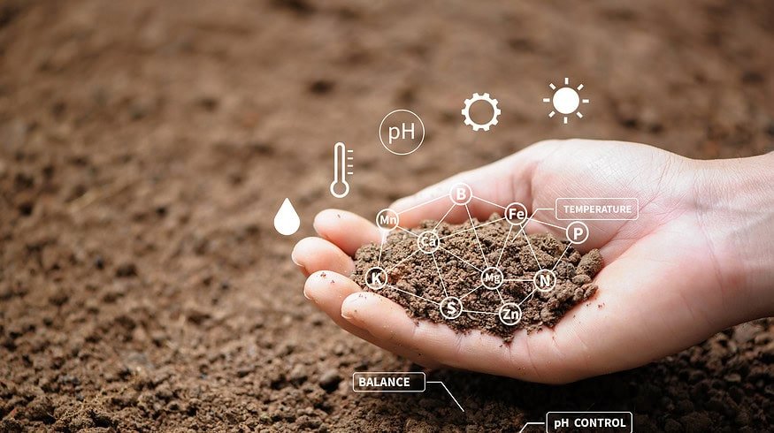 Water industry waste could be turned into nano-fertilizers