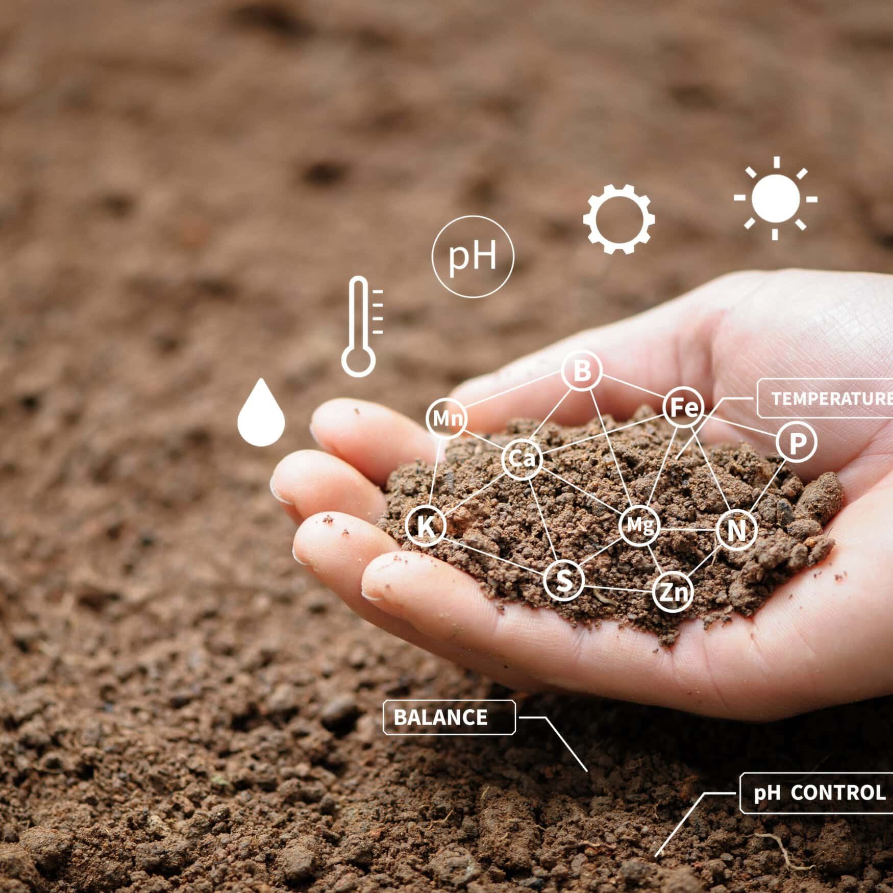 Water industry waste could be turned into nano-fertilizers