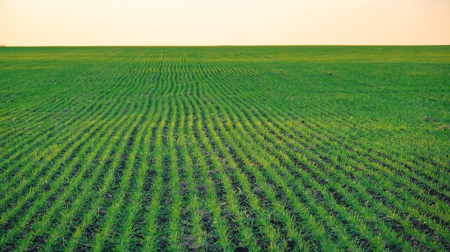 UPM Biochemicals launches biostimulant range