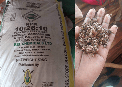 Kenyan President demands compensation for farmers suffered from fake fertilizer