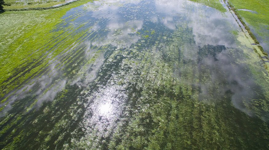 Vermont farmers struggle with recovery as growing season commences