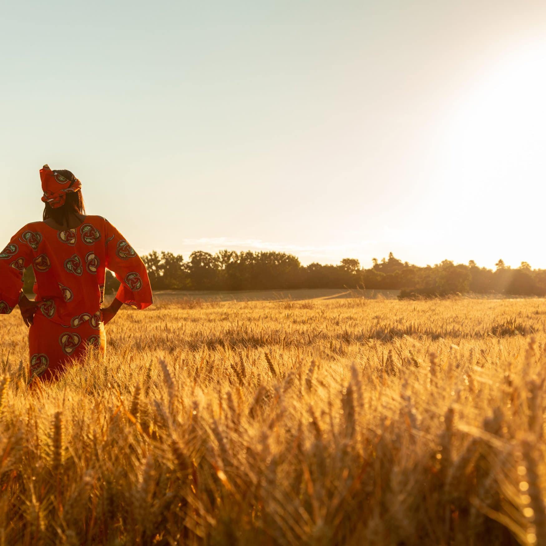 Kenyan farmers receive $2mn boost for fertilizer access
