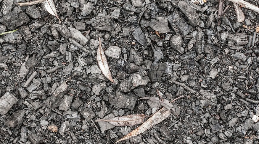 Biochar revives as a farming practice that could boost climate efforts