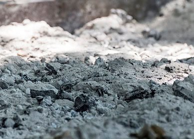 WasteX taps biochar technology to boost crop yields in Philippines