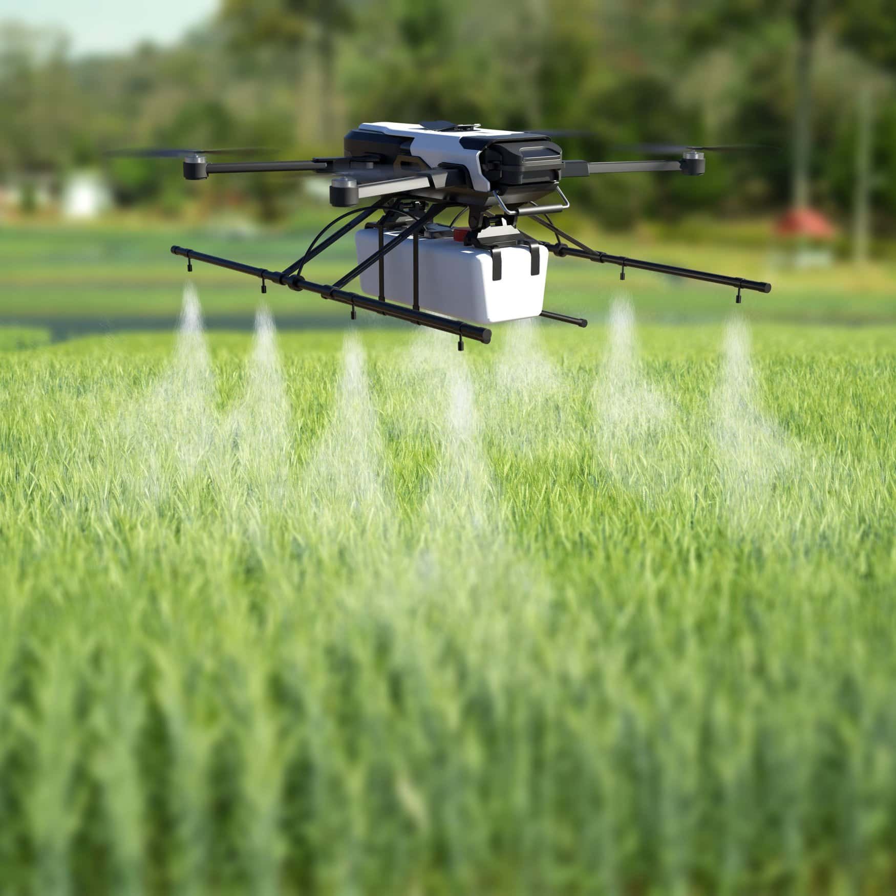 Philippine farmers harvest bountiful palay yields with drone assistance