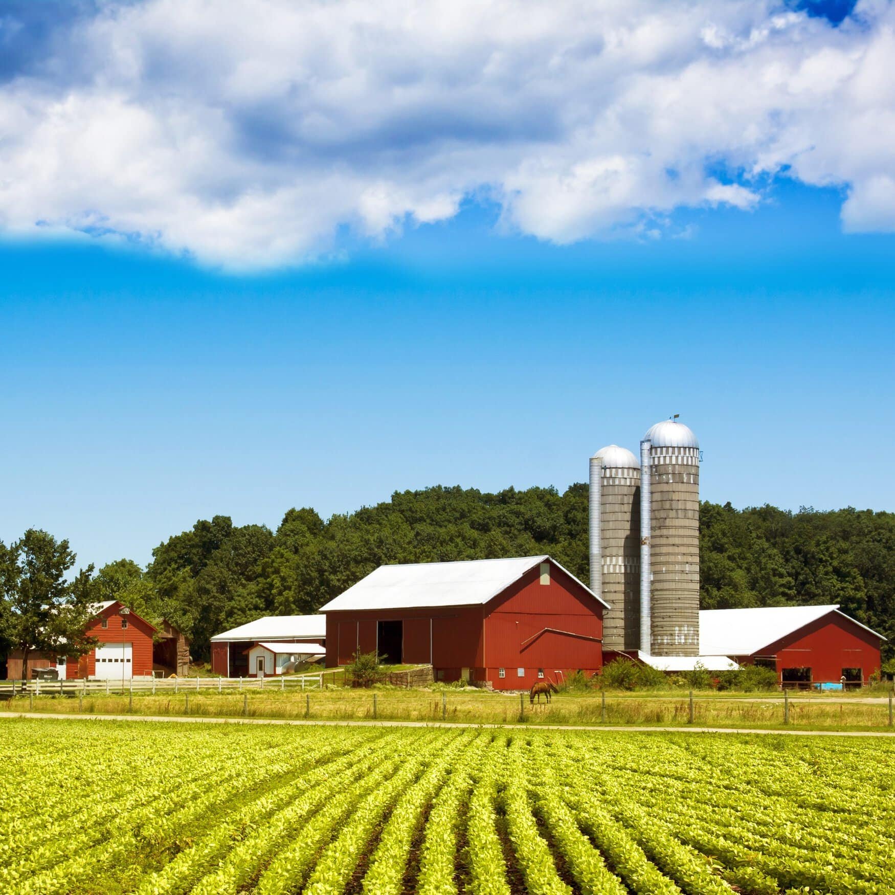 Pivot Bio’s sustainability program cuts 315,000 metric tons of carbon emissions