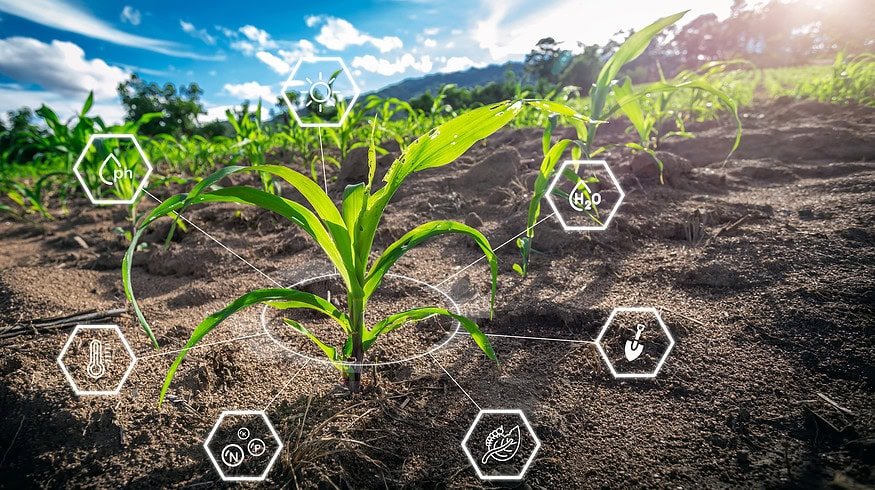 Precision agriculture helps to reduce nitrogen levels and protects the environment