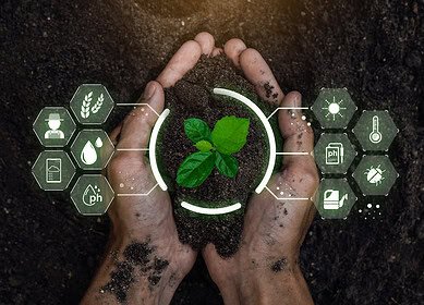 New fertilizer recommendation tool aims to boost farm profitability