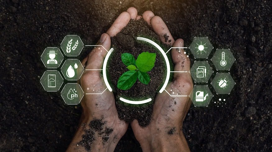 New fertilizer recommendation tool aims to boost farm profitability