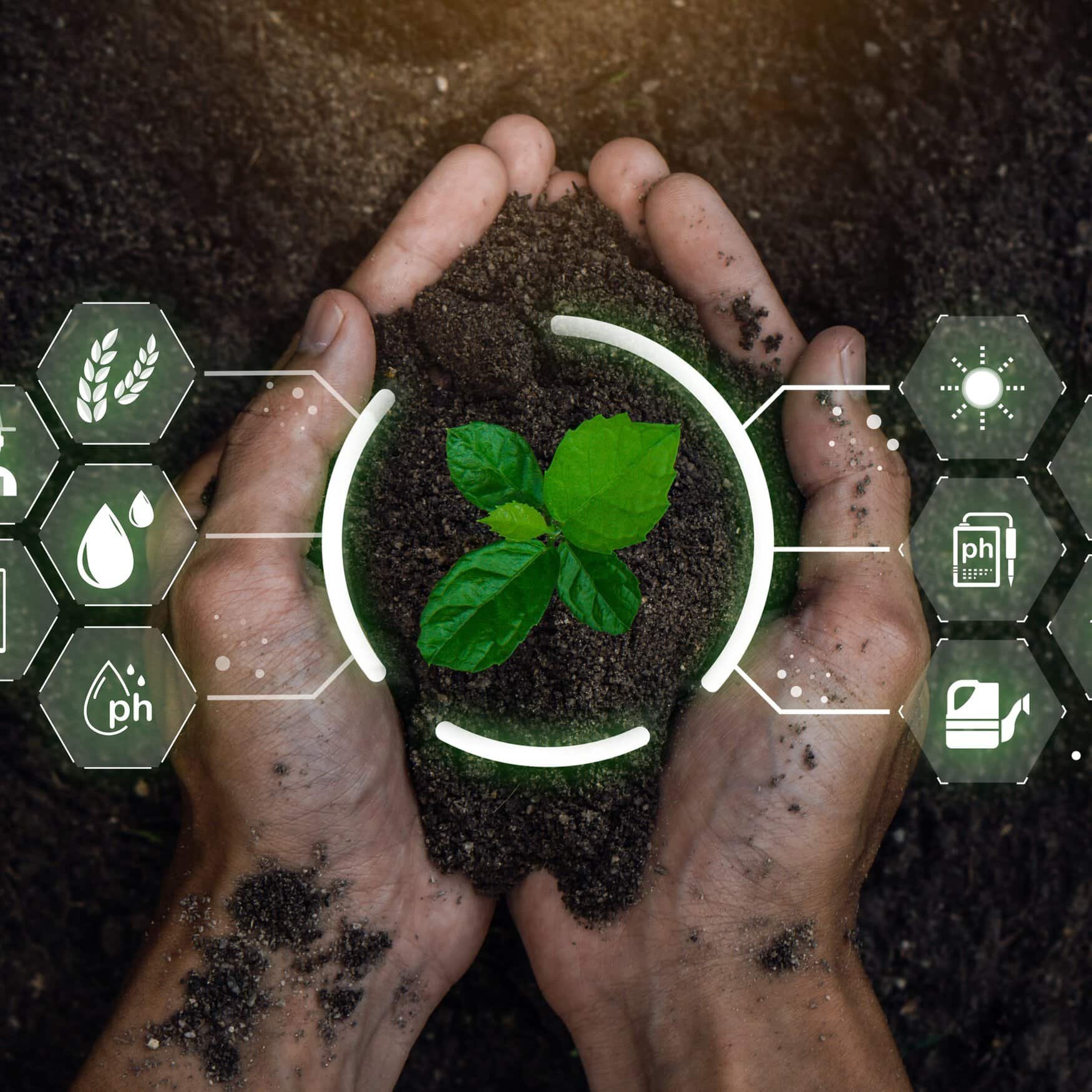 New fertilizer recommendation tool aims to boost farm profitability