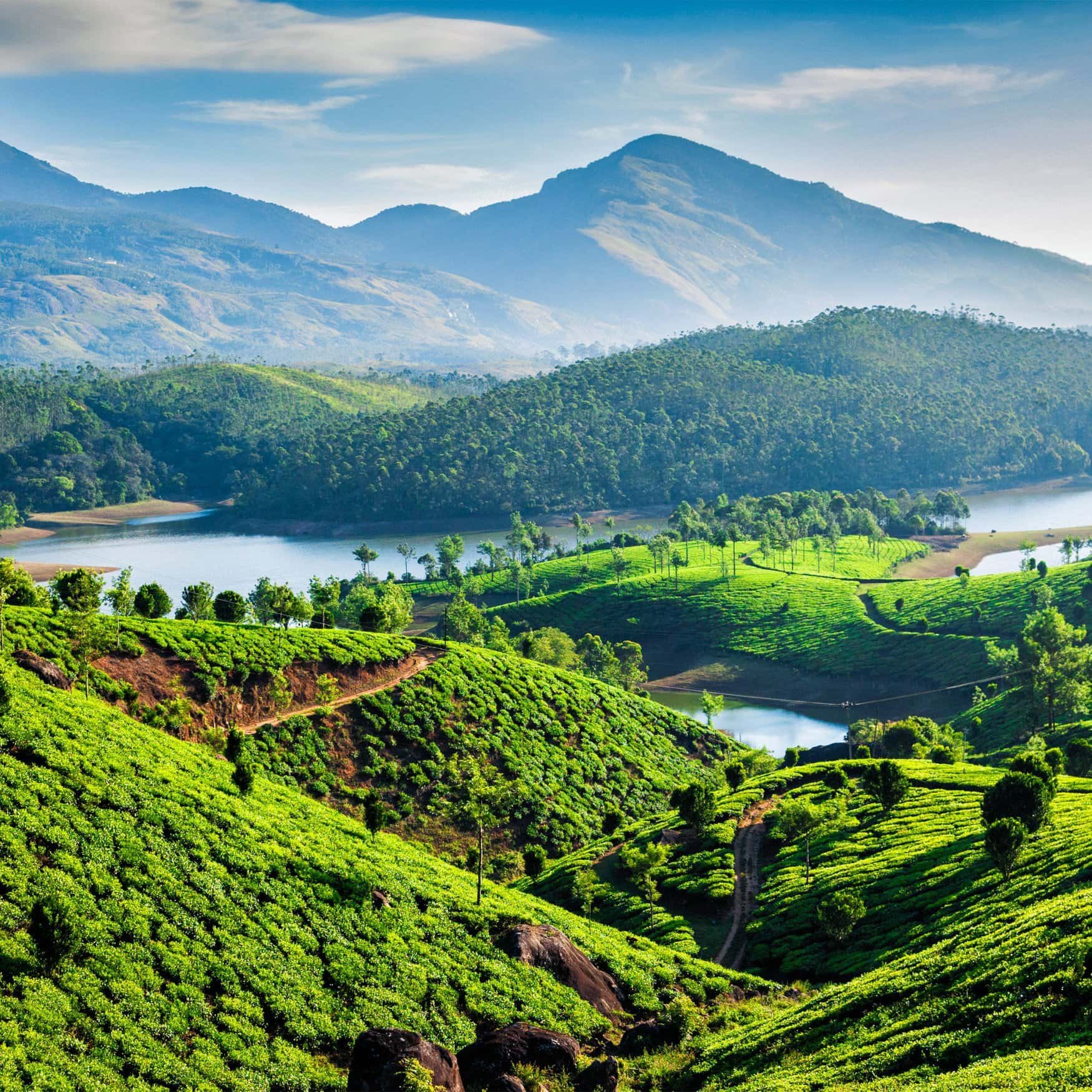 Mahadhan Agritech and Haifa Group forge partnership to advance India’s agriculture