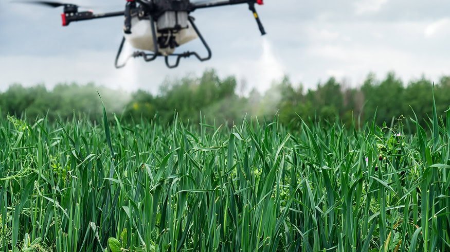 Selective spraying may help in managing resistant weeds