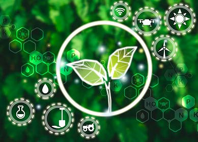 Smart agriculture empowers vegetable growers in east China