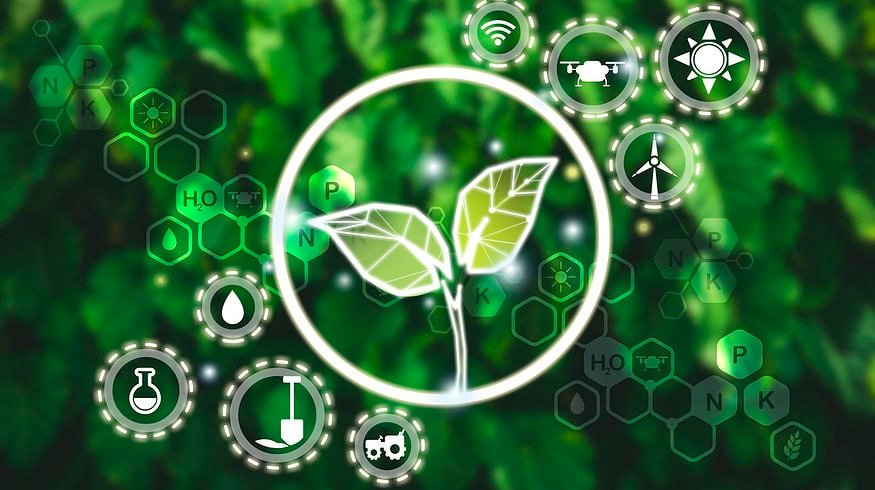 Smart agriculture empowers vegetable growers in east China