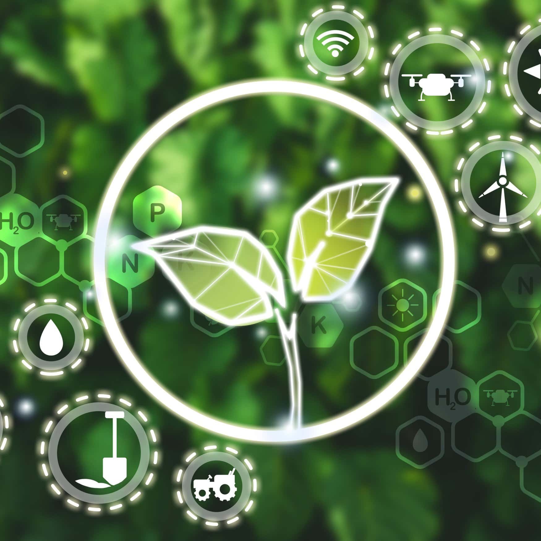 Smart agriculture empowers vegetable growers in east China