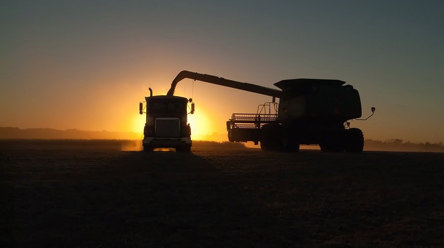 Lebanese farmers accelerate harvest amid border tensions