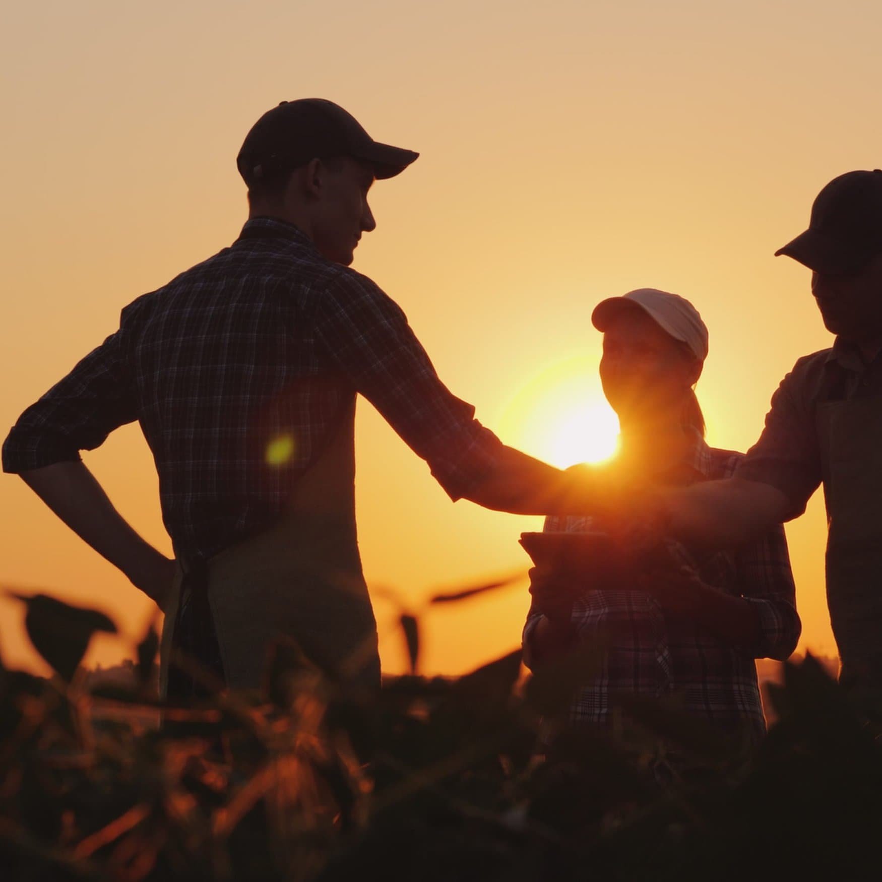 AgriNovus Indiana connects college students to agriculture careers