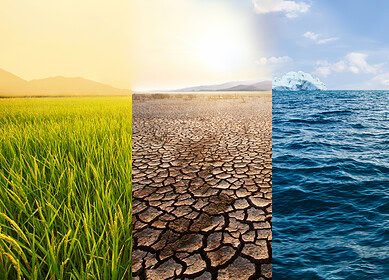 Nitrous oxide emissions accelerating due to increased fertilizer demand — study