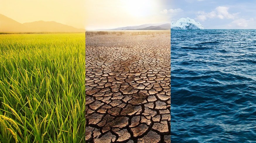 Nitrous oxide emissions accelerating due to increased fertilizer demand — study