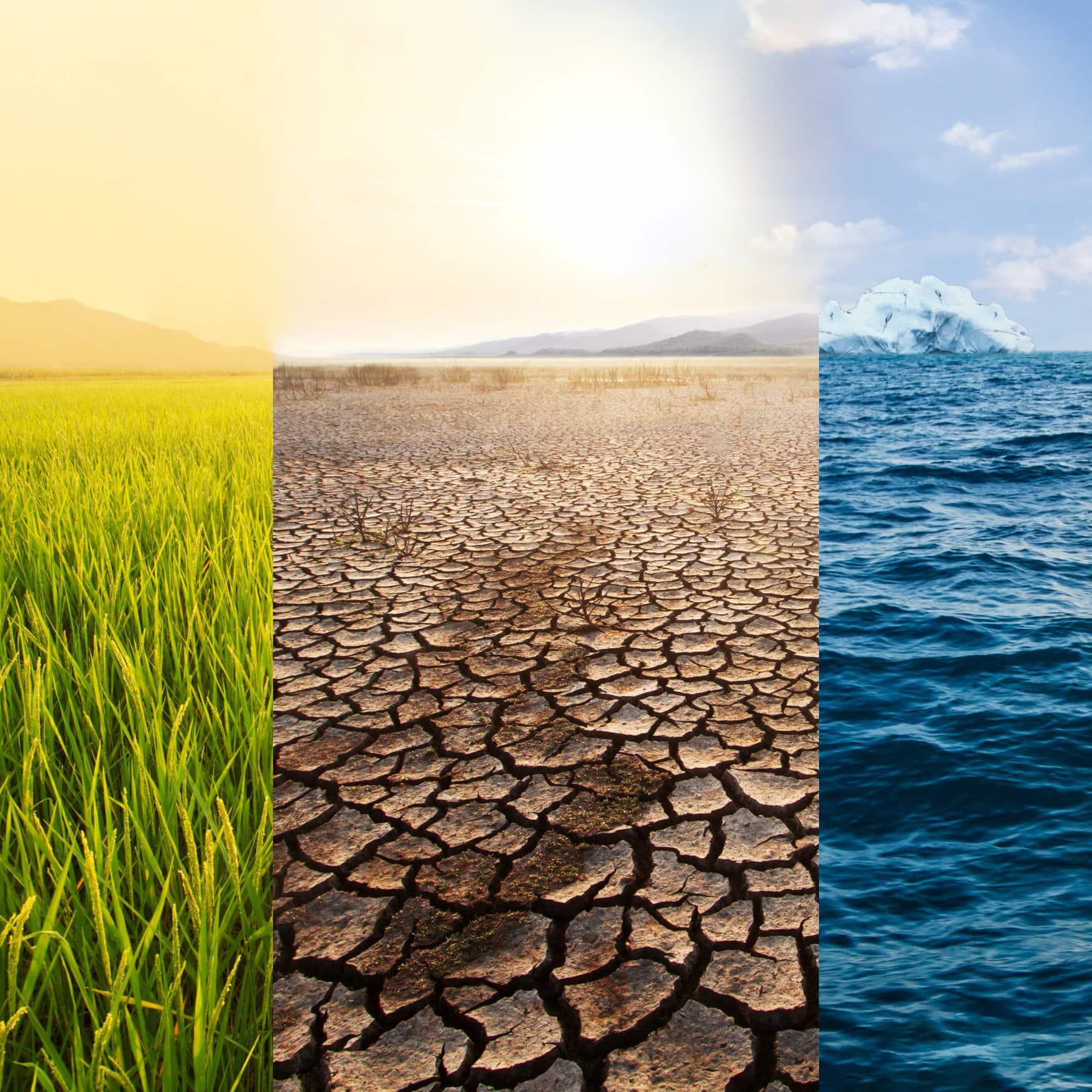 Nitrous oxide emissions accelerating due to increased fertilizer demand — study