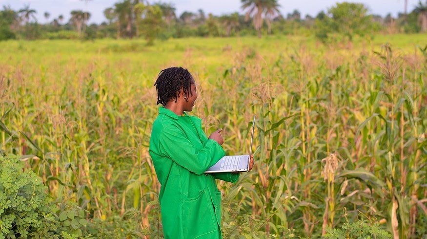 WACOT launches new herbicide and trains 5,000 farmers in Southwest Nigeria