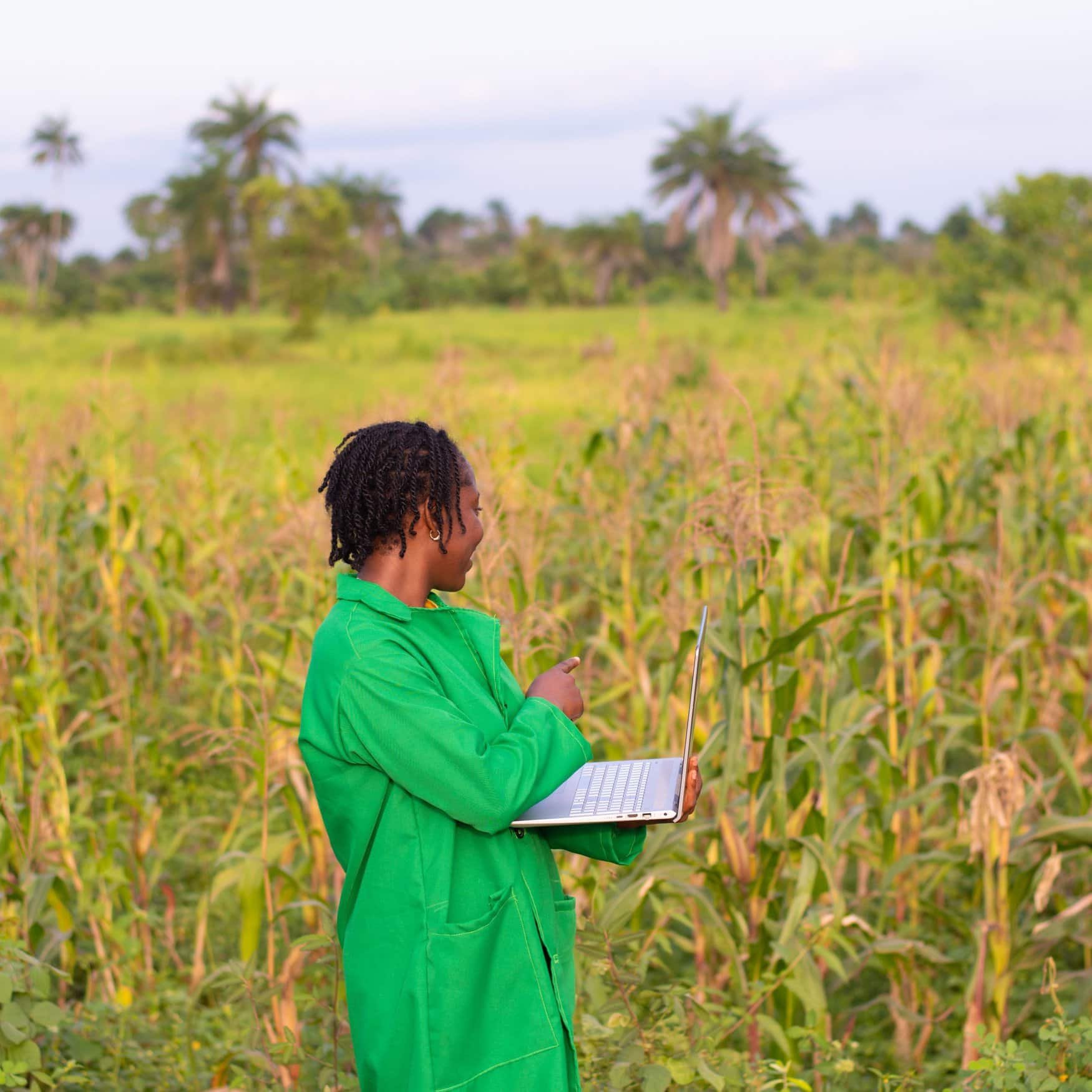 WACOT launches new herbicide and trains 5,000 farmers in Southwest Nigeria