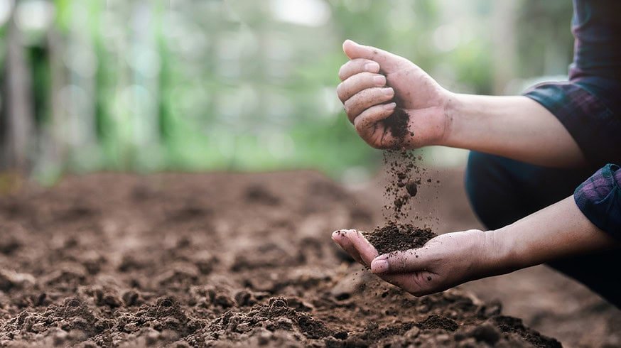 Tips for improving your soil microbiome