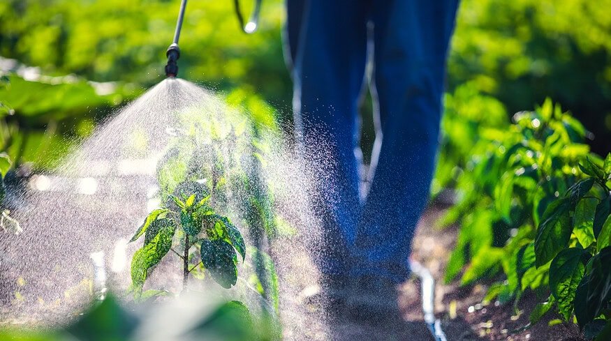 Bayer presses for legal shield amid Roundup cancer allegations