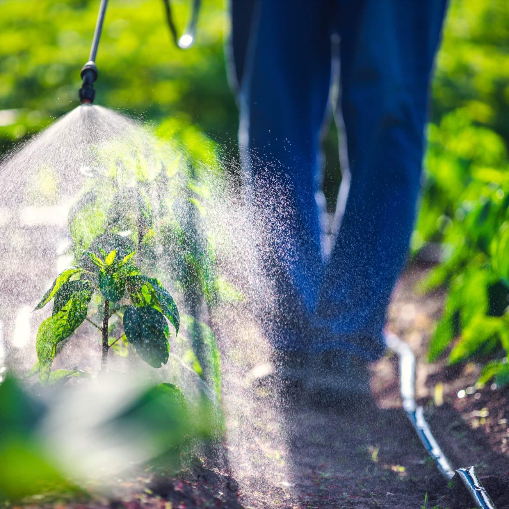 Bayer presses for legal shield amid Roundup cancer allegations
