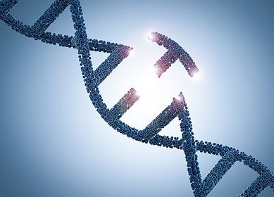 EU divided over gene-edited food rules amid regulatory deadlock
