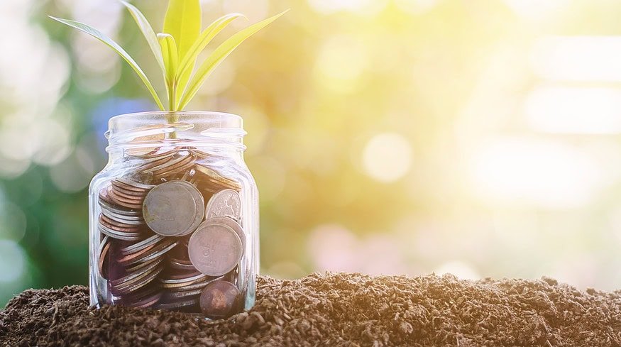 GreenCrypto Corporation introduces AvocadoCoin to drive sustainable farming