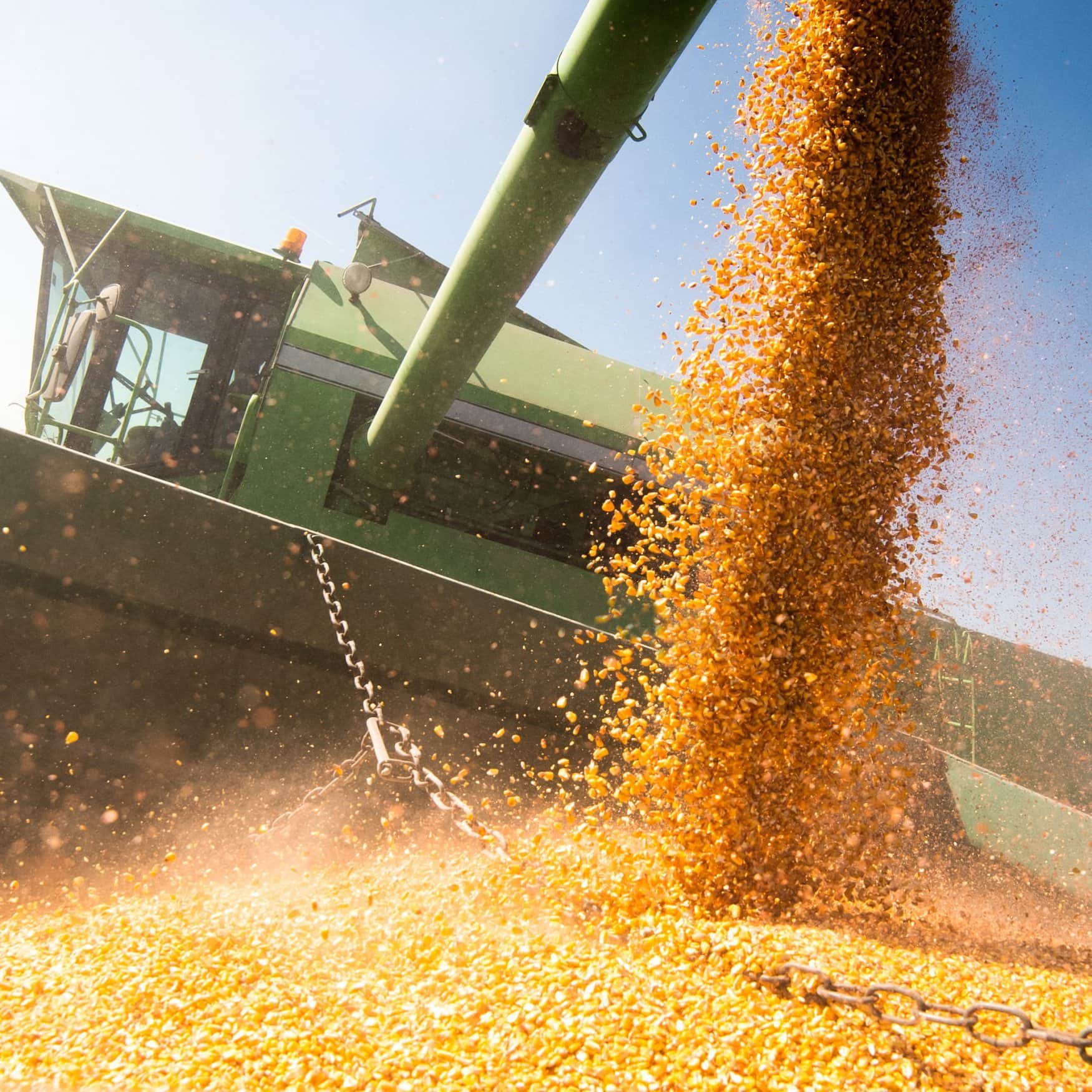 Brazil’s crop traders surprised by new tax regulations — Bloomberg