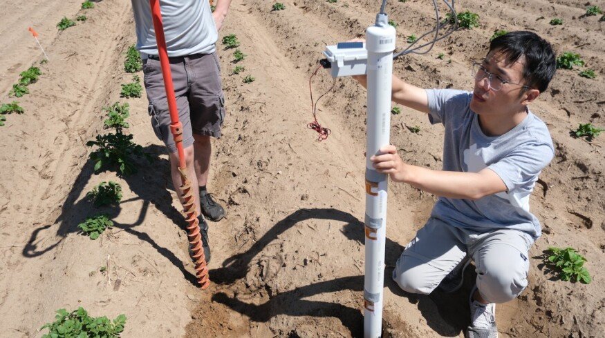 UW-Madison engineers unveiled innovative nitrate monitoring soil sensors