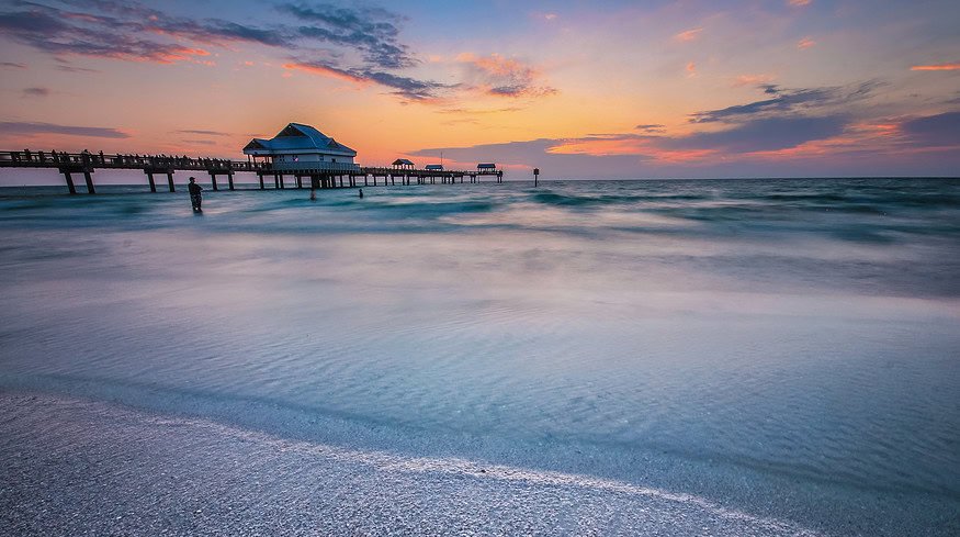 Tampa Bay ecologists urge reduced fertilizer use to protect waterways