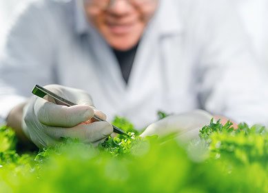 $23 million boost for horticultural research in Canada