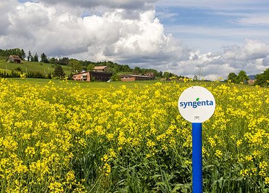 Syngenta partners with Intrinsyx Bio for sustainable farming innovation
