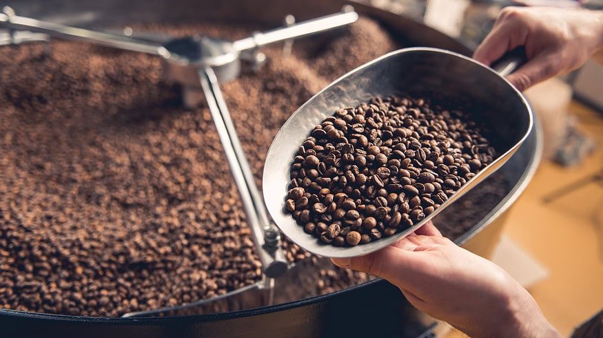 Florida researchers explore Robusta as a climate-smart alternative to Arabica