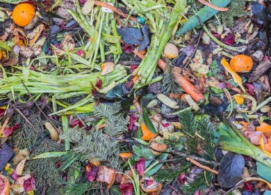 Walmart teams up with Denali to innovate food waste recycling