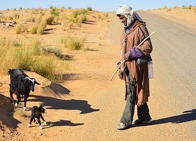 Collaborative efforts by CNH and Oxfam promote resilience and inclusion in Africa