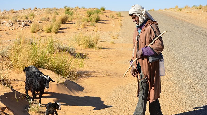 Collaborative efforts by CNH and Oxfam promote resilience and inclusion in Africa