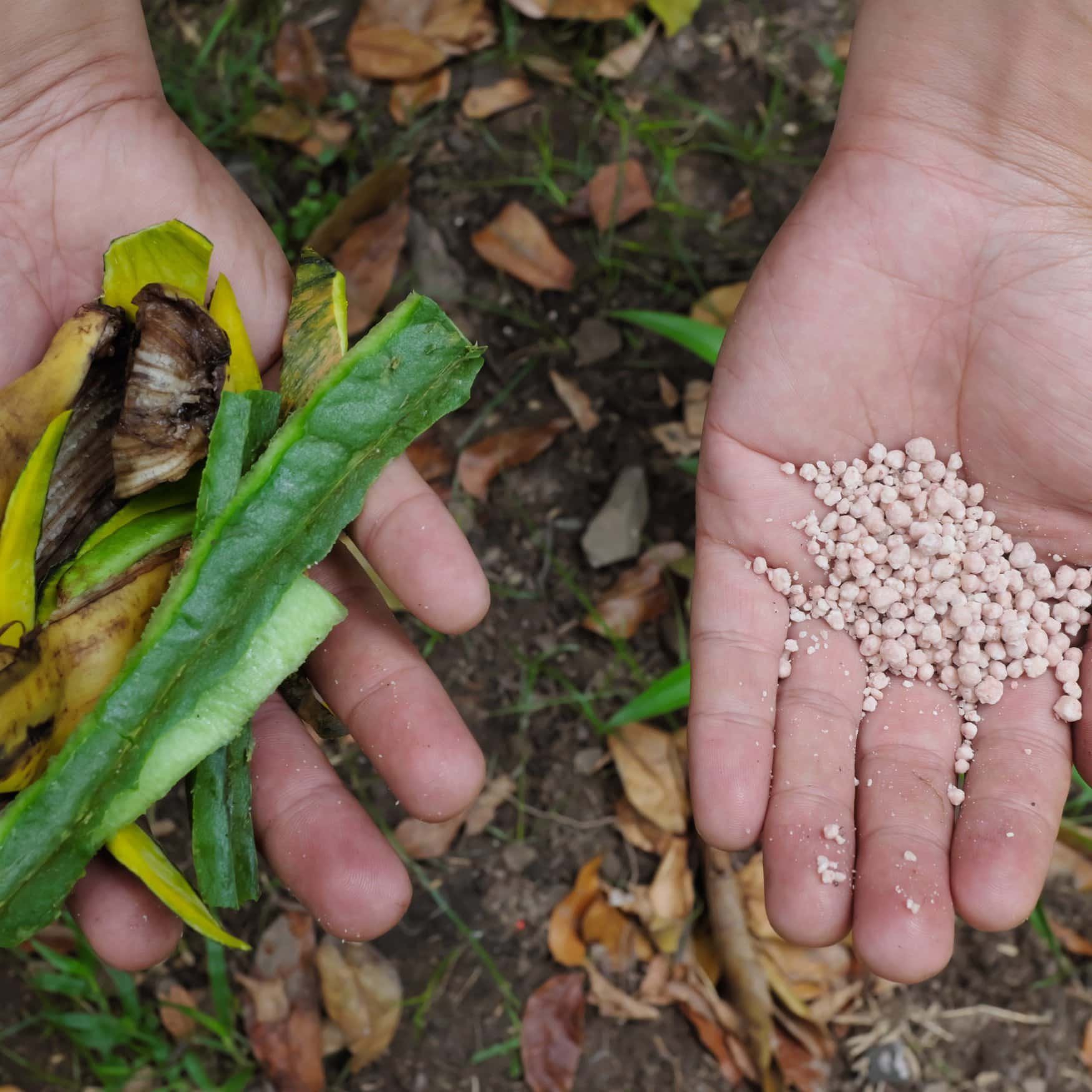 Philippines DA considers partnership with Vietnamese fertilizer giant