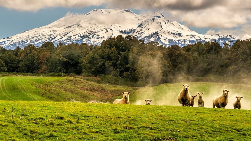 New Zealand’s nitrogen focused water quality monitoring undermined by incomplete reporting