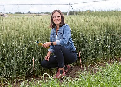 University of Saskatchewan appoints new chair in regenerative agriculture