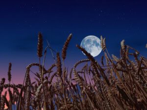 Chinese researchers discovered water-enriched mineral in lunar soil