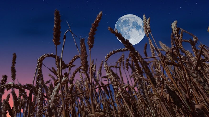 Chinese researchers discovered water-enriched mineral in lunar soil