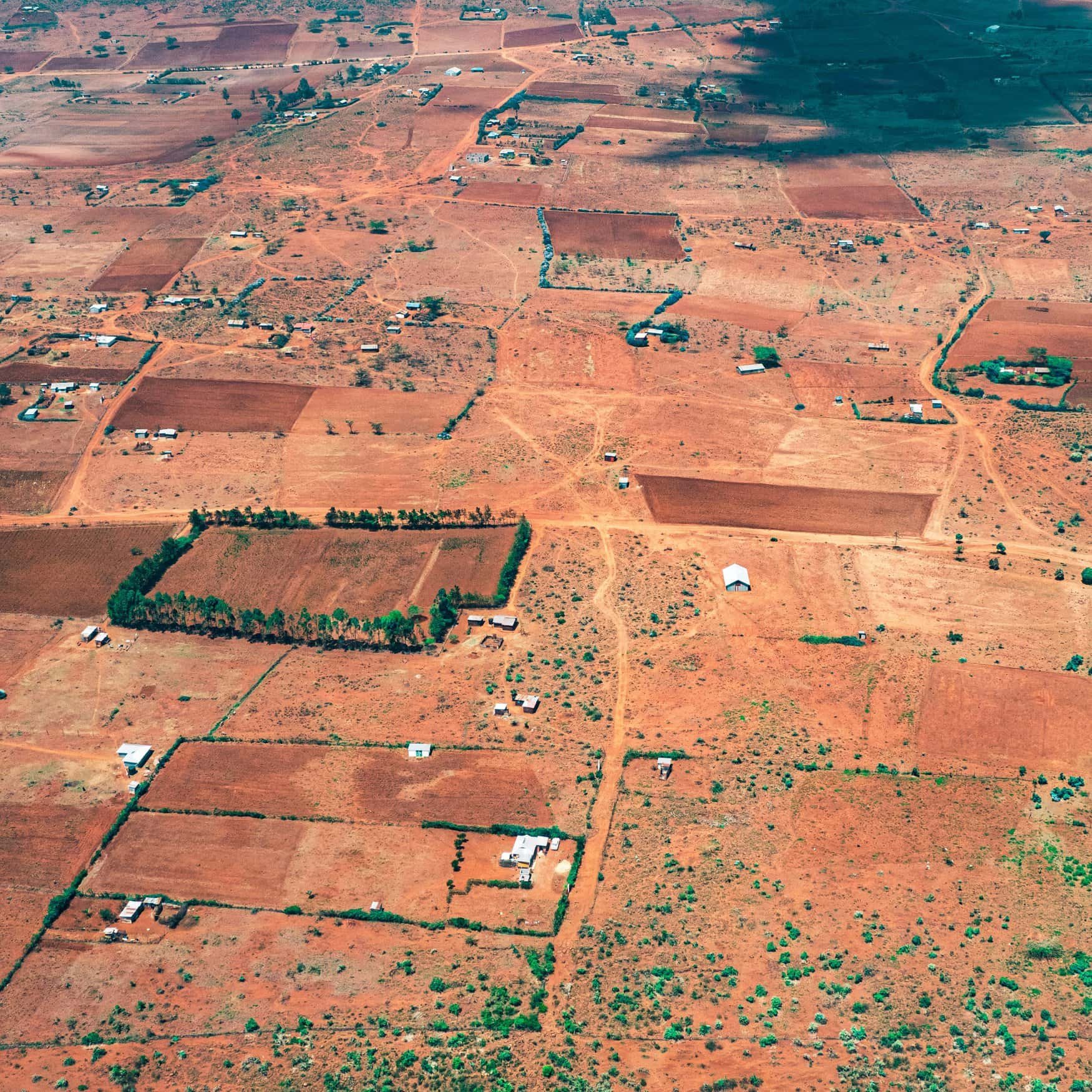 Soil acidity from fertilizers threatens African agriculture