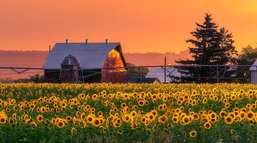 Young Wisconsin farmers adopt regenerative practices