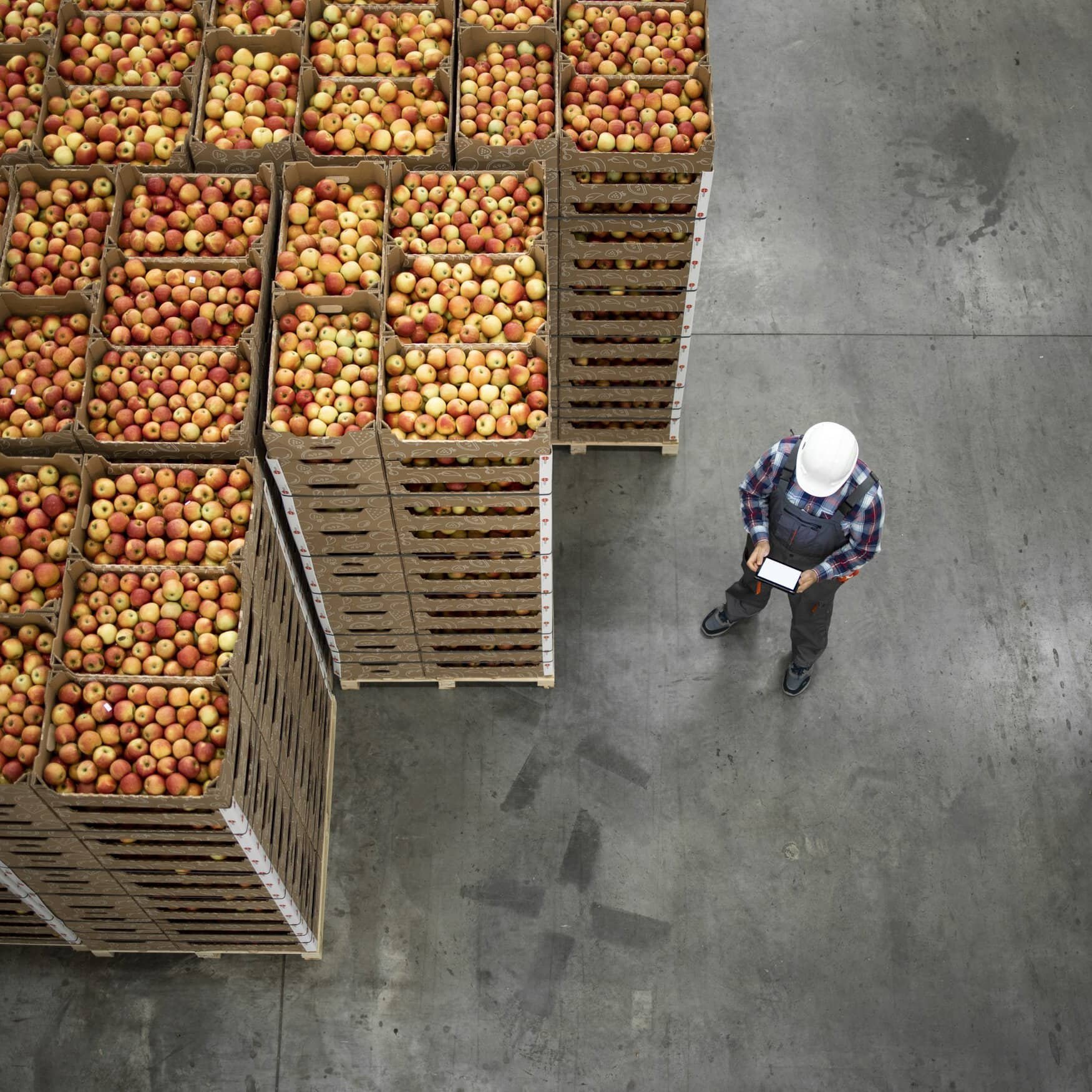 ICL invests $60 mn in CAF to grow US agriculture business