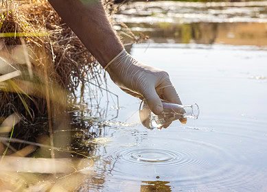Illinois researchers develop fungal treatment to convert wastewater into fertilizer