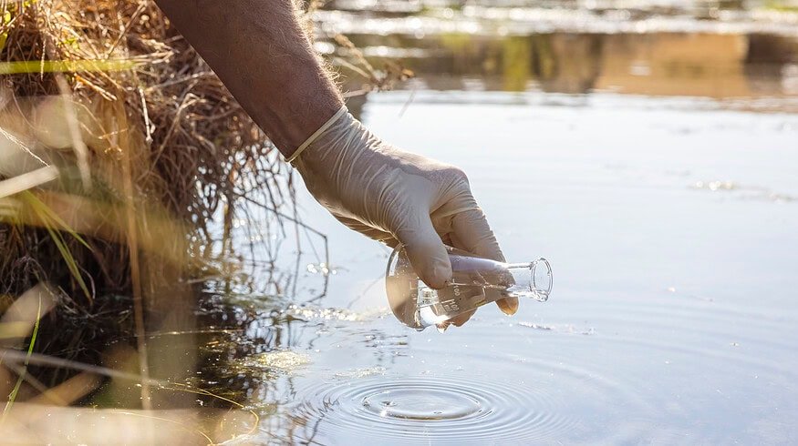 Illinois researchers develop fungal treatment to convert wastewater into fertilizer